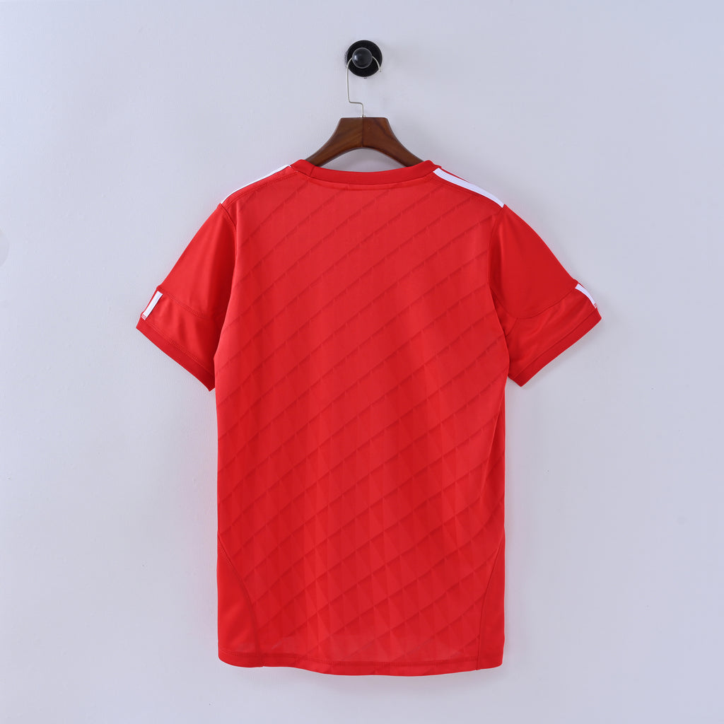 Manchester United home jersey (2010-11)