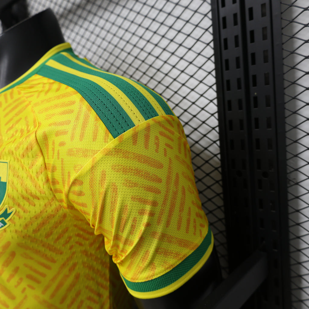 South Africa National Team Jersey 2026