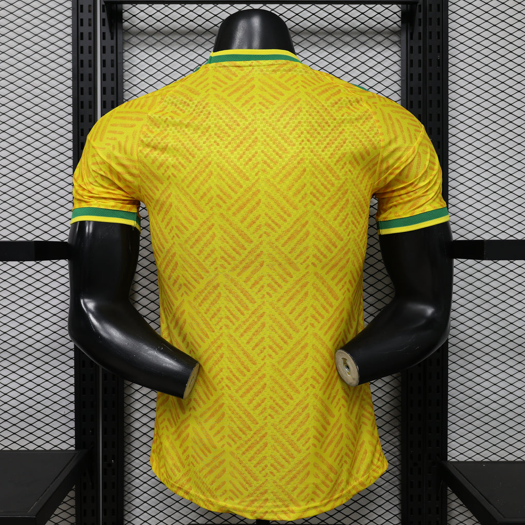 South Africa National Team Jersey 2026